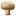 griboknogtey.ru favicon