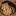 hamsterman.ru favicon
