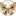 happpy.ru favicon