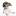 happydogs.kz favicon
