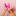 health-dnk.ru favicon