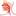 helplor.ru favicon