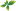 himwest.ru favicon
