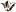 horeca-campana.ru favicon