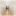 hotelmirniy.ru favicon