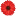 hrizantemy-sochi.ru favicon