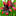 hutorrok.ru favicon