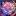 imam-ali.ru favicon