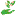 imperiarasteniy.ru favicon