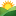 in-vivo.ru favicon