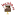 incake.ru favicon