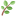 incantico.ru favicon