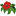 indoor-flowers.ru favicon