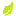 indoor-plants-tips.ru favicon