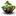 inforazum.ru favicon