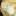 ipparfenov.ru favicon