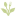 irinamolchanova.ru favicon