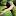 istcelis.ru favicon
