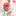 izostudia-zerkalo.ru favicon