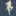jethro-tull.ru favicon