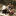 juliyas.ru favicon