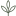 justwoodhotel.ru favicon