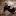 kalininavalentina.ru favicon