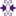 kameliya35.ru favicon