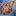 kateshukalova.ru favicon