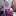 kinonevs.ru favicon