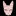 kiskis-concert.ru favicon