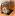 kletki-spb.ru favicon
