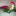 klub-rostok.ru favicon