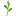 koktem-burabay.kz favicon