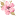 koreacosmos.ru favicon