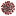 koronavirus-new.ru favicon