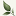 kosino-info.ru favicon