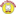 kot-begemot-vet.ru favicon