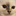 kotiki-sacred-birman.ru favicon