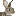 kroliki-prosto.ru favicon