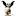 kursi1.ru favicon