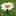 kykuruza.ru favicon