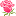 la-rose.by favicon