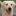 labradorka.ru favicon