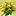 landscape-designer.ru favicon