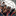 langcamps.ru favicon