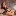 lanista-group.ru favicon