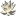 larus-yoga.ru favicon