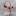 last-point.ru favicon