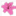 lavira.ru favicon